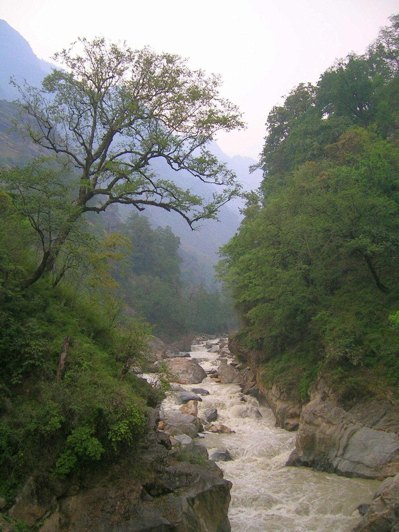 A Himalayan river winding through forested gorges, like the Charma below Hat Tharp.