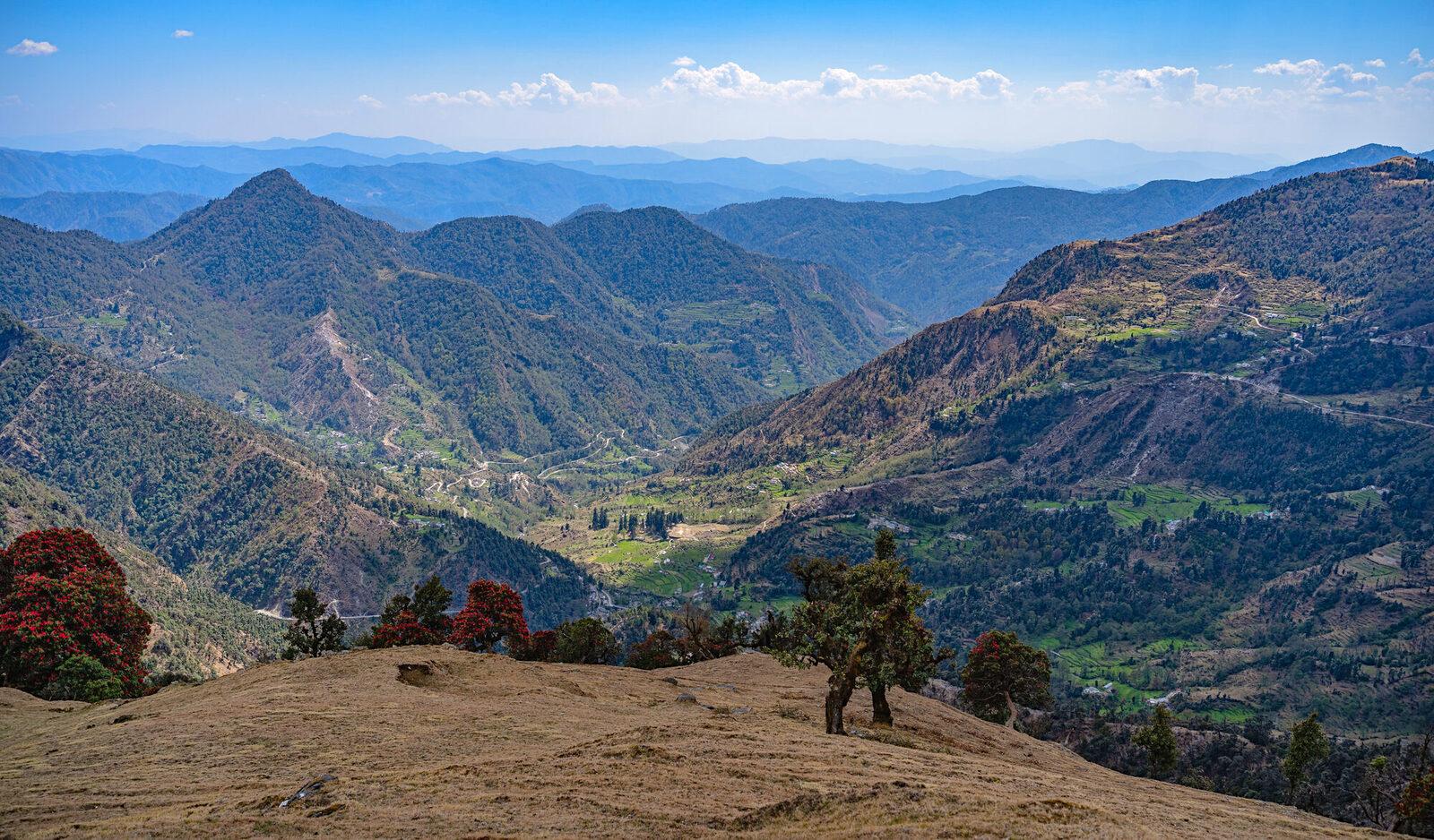 Dense deity-dedicated forest covering nearly 90% of the village's land.